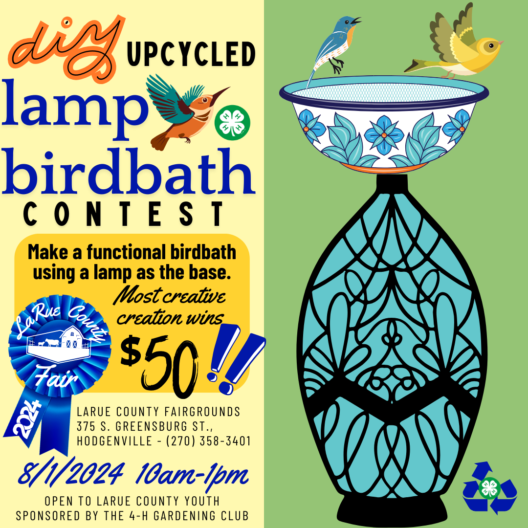 lamp birdbath birds and contest information