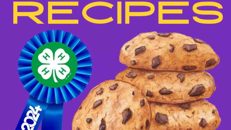 purple background chocolate chip cookies blue ribbon